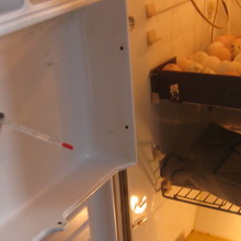 Нагреватель для самодельного инкубатора своими руками  3